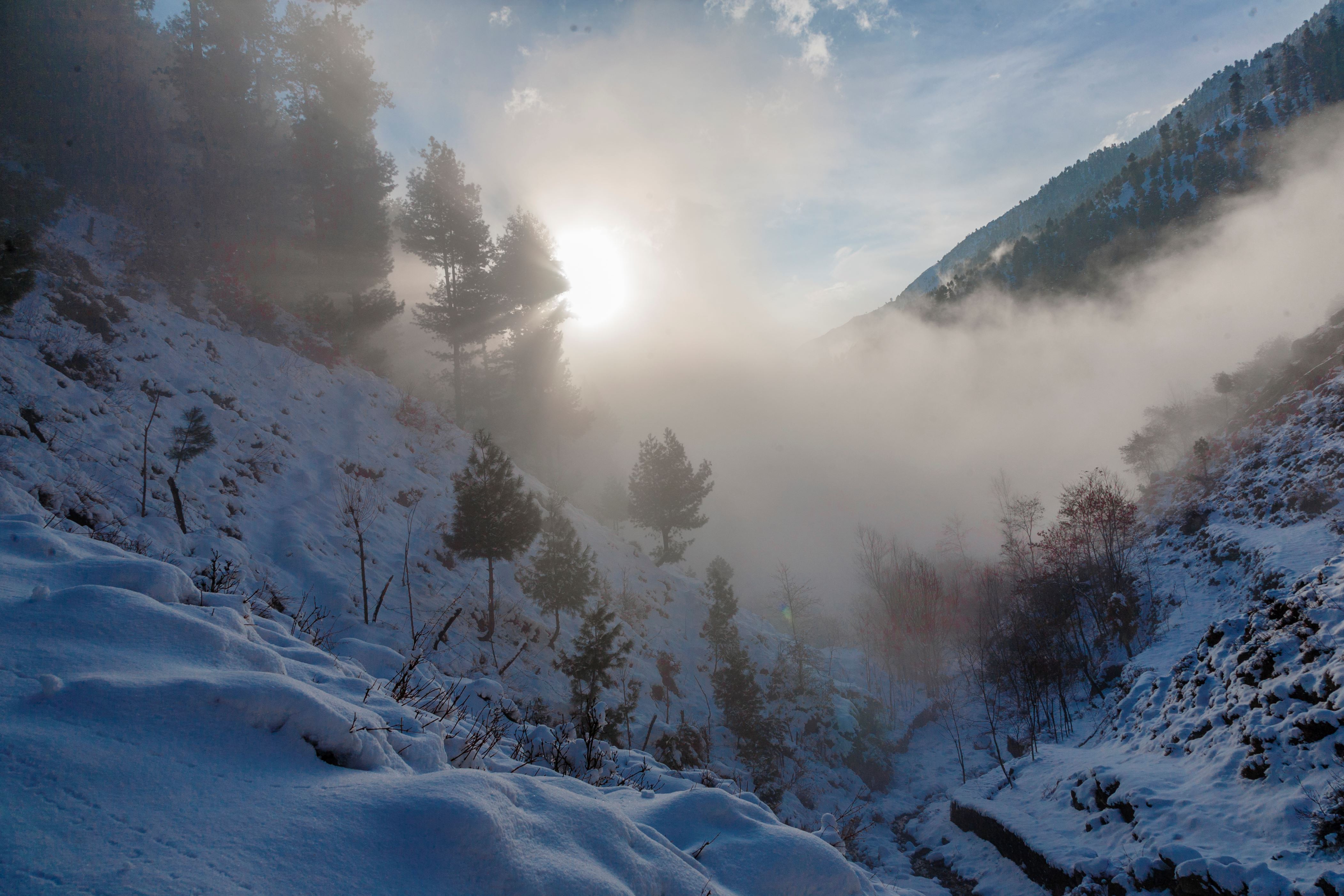Snowfall in Kedarnath turns the area into a snow land