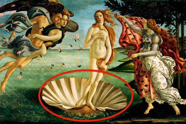 Diapositiva 23 de 26: The nudity in Botticelli’s famous painting was pretty groundbreaking for the late 15th century. But that’s not where the artist’s boldness ends.Some art historians believe that the scallop shell that Venus is riding the ocean waves on is actually meant to symbolize female genitalia and thereby allude to fertility.