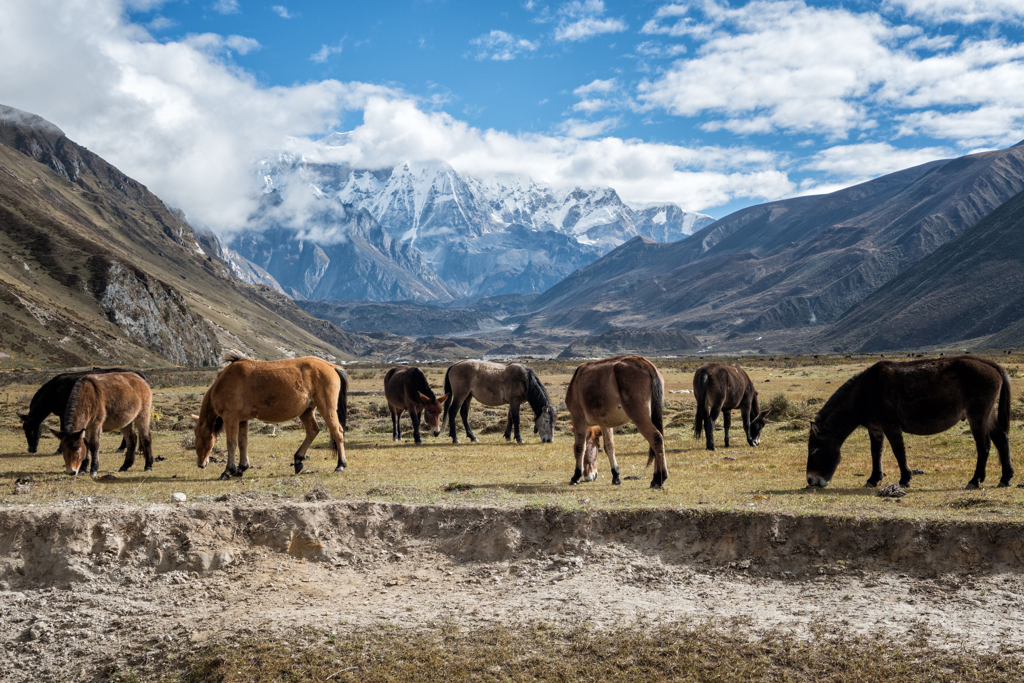 地球の北から南まで 世界各地の 最果ての地