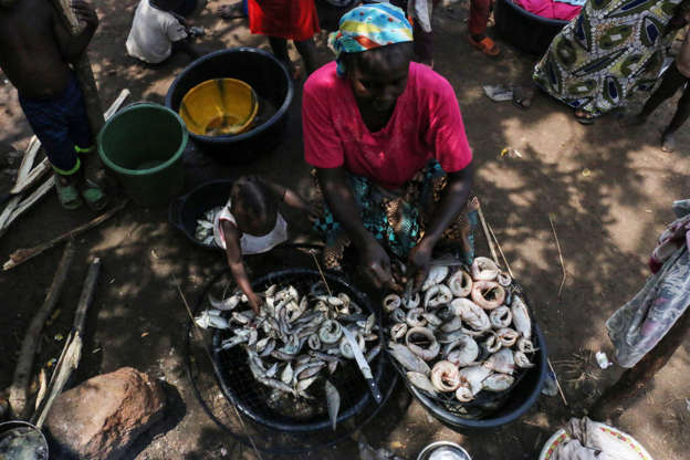 A woman displaced by the recent wave of floods in Konto Karfi, prepares to roast fish at an outdoor facility of an Internally displaced people (IDPs) camp in Otokiti, Kogi State, on September 19, 2018.