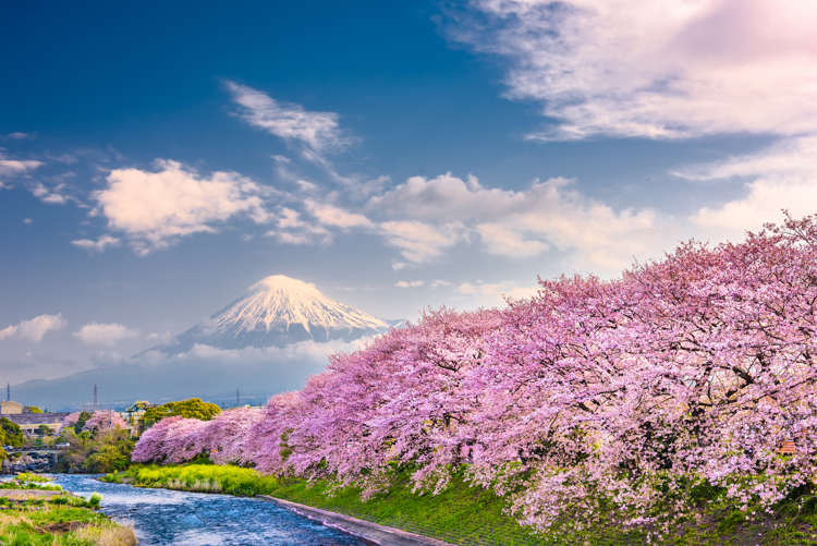 멋진 봄 풍경을 볼 수 있는 아시아 22곳