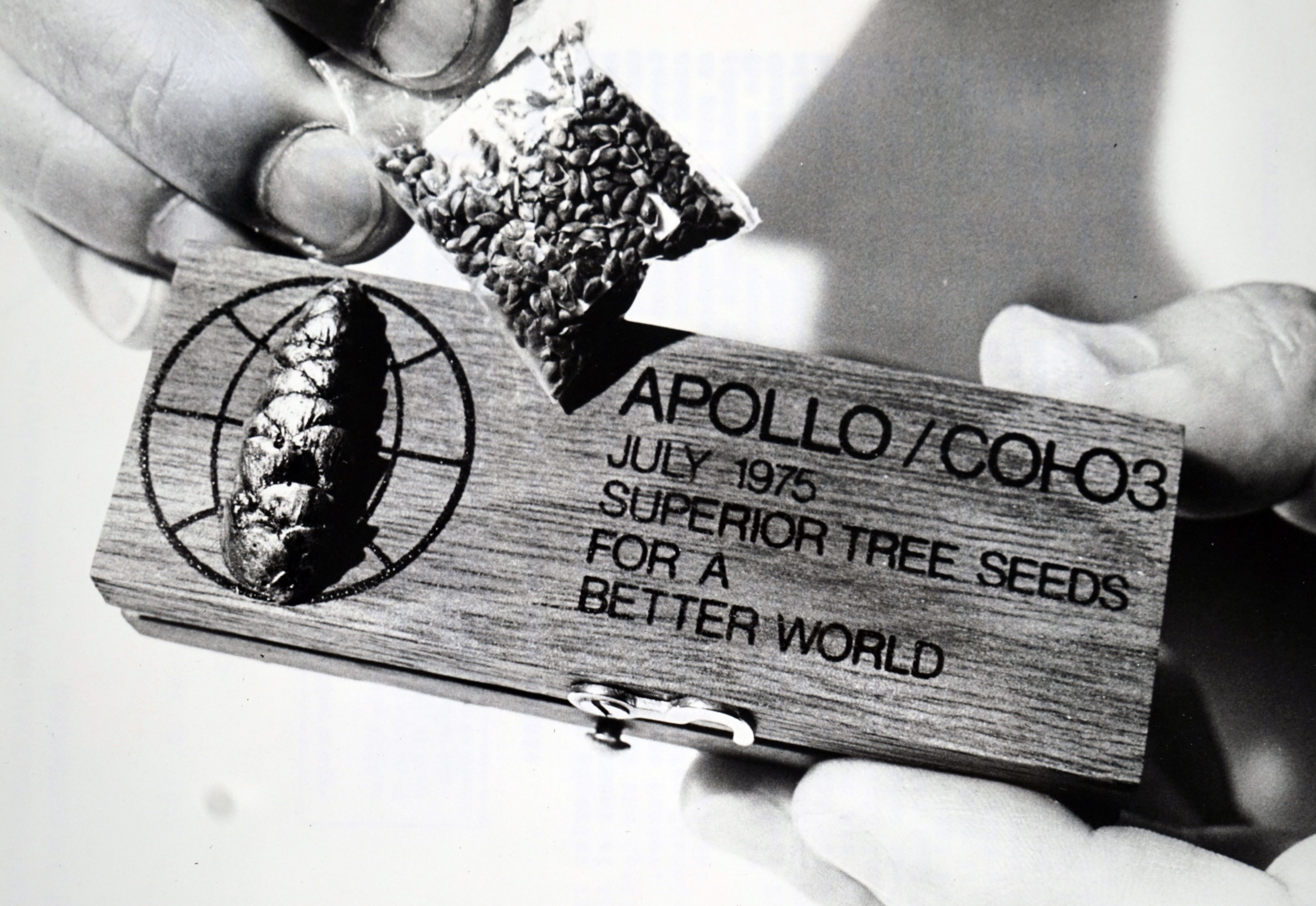 Moon Dust Kept Sealed For 50 Years Will Finally Reveal Its