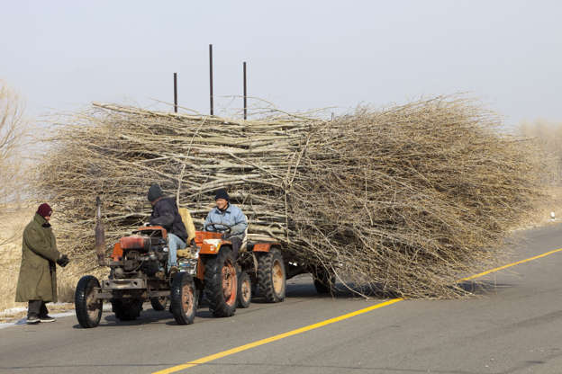 Slide 41 de 45: Chinese farmers haul a huge wide load of wood using a tiny tractor in Heilongjiang province, Northern China.