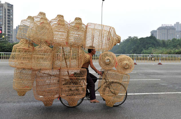 Slide 42 de 45: Man rides bicycle overloaded with bamboo fish pots