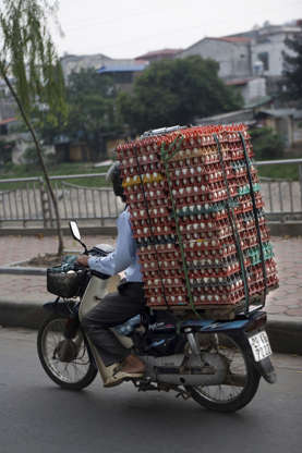Slide 35 de 45: Transport of eggs with moped, Hanoi, Vietnam, Asia