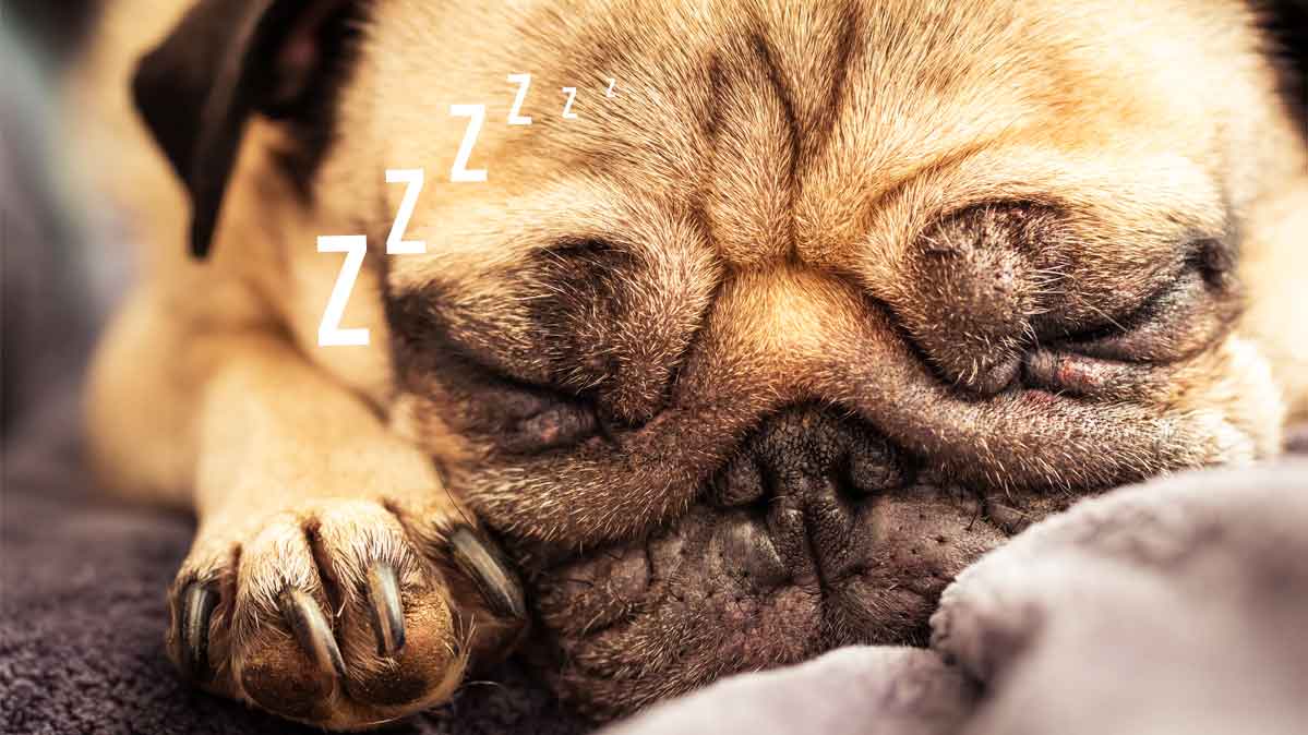 BBV8mAi.img?h=450&w=799&m=6&q=60&o=f&l=f