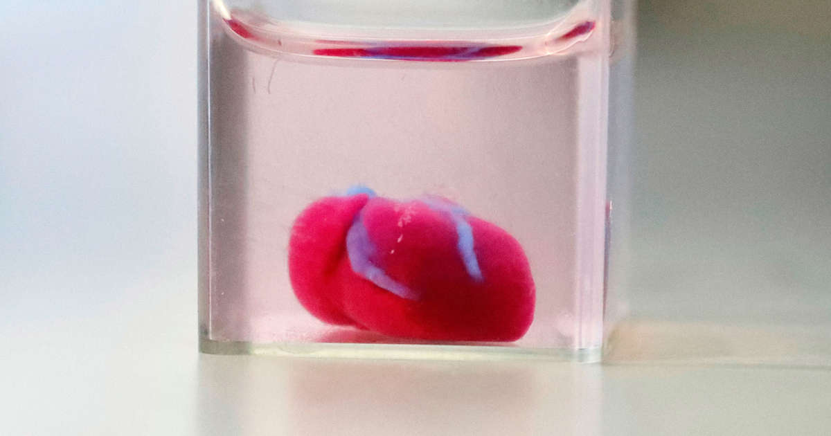 Image result for 'First' 3D print of heart with human tissue, vessels unveiled