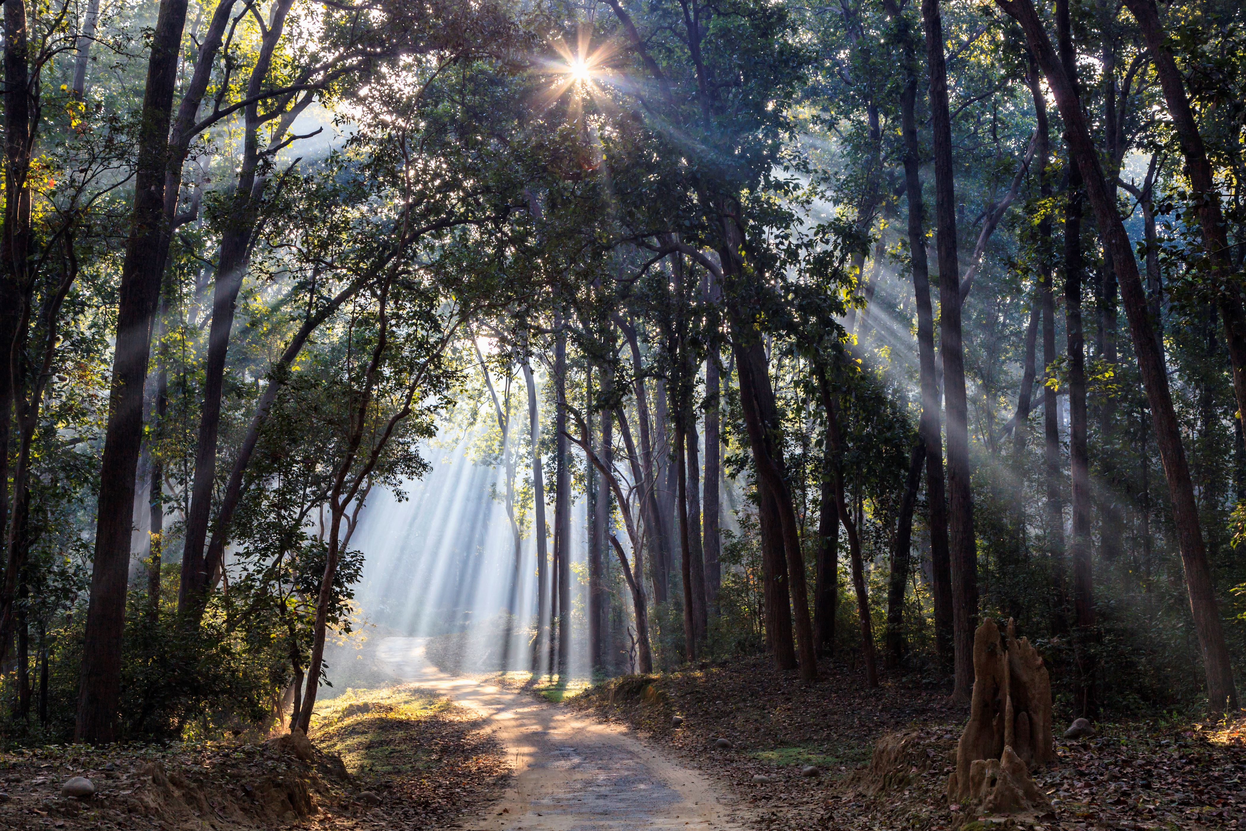 雄大な自然にうっとり 世界の国立公園25選