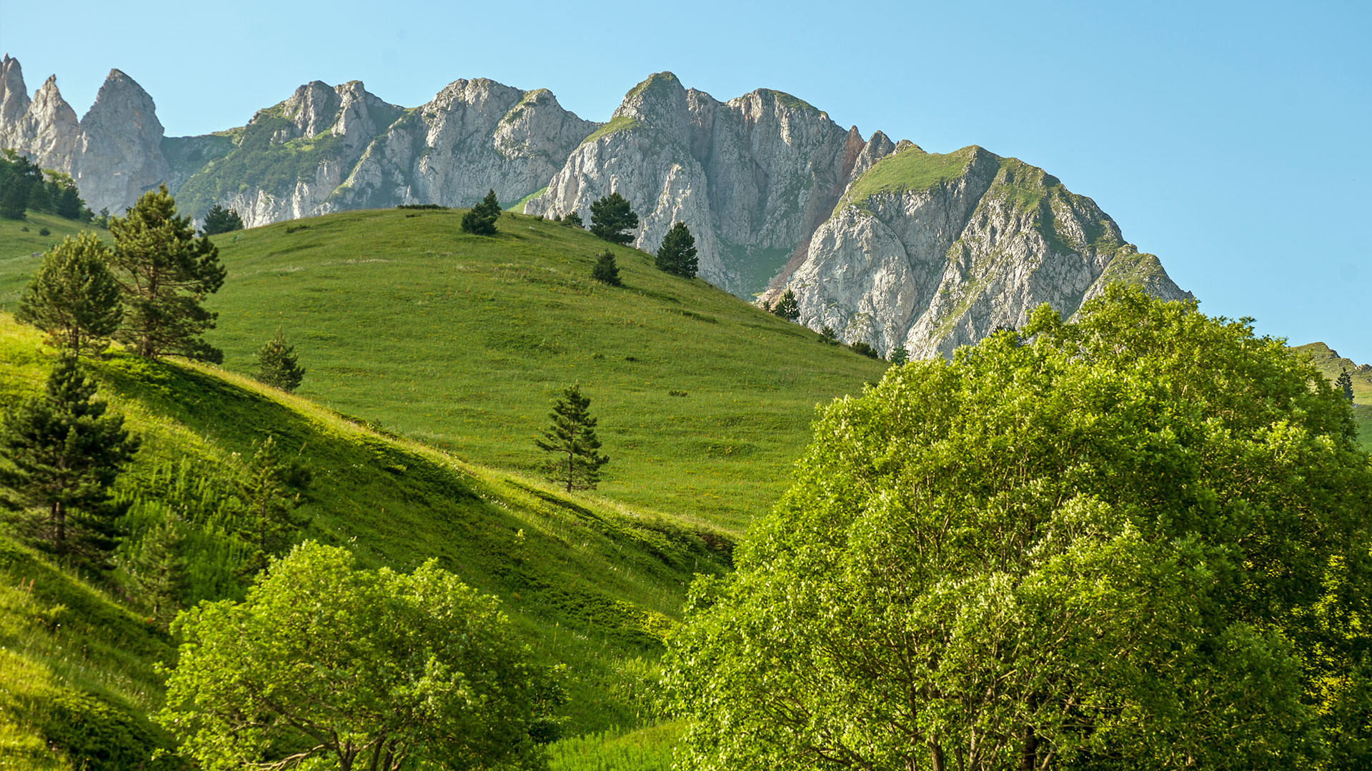 ����� 24 �� 34: National Park Sutjeska, Mountain peek "Plece" Bosnia and Herzegovina. Mountain peeks and meadows of national park Sutjeska, mountain Zelengora.