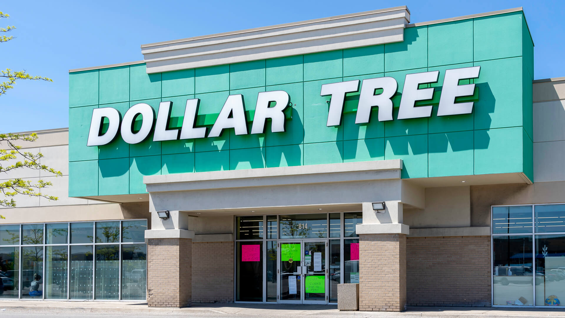 Dollar Tree 5 HighQuality Items To Buy Now