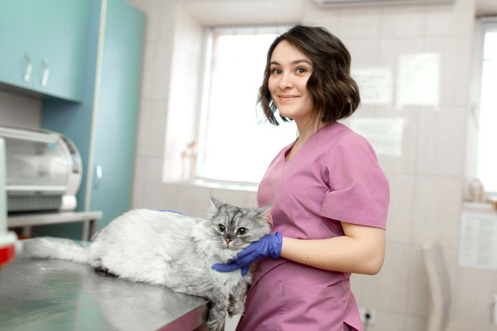 <p>Not only could working with animals be a fulfilling career, but it could also help you get forgiveness for your student loans. The <a href="https://nifa.usda.gov/program/veterinary-medicine-loan-repayment-program">U.S. Department of Agriculture</a> offers up to $25,000 per year for three years in student loan repayment assistance to vets who work in underserved areas. Programs such as the <a href="https://www.nd.gov/ndda/animal-health/veterinarian-loan-repayment-programs%20">North Dakota State Veterinarian Loan Repayment Program</a> help veterinarians who agree to work in shortage areas.</p><p>According to the <a href="https://www.avma.org/About/SAVMA/StudentFinancialResources/Pages/default.aspx">American Veterinary Medical Association</a>, 1 in 5 veterinarians leaves school owing more than $200,000 in student loans, while the average debt for graduates in 2016 was about $143,758. Any program that offers relief in the form of forgiveness or repayment assistance could be a huge help as you work toward financial independence.</p>