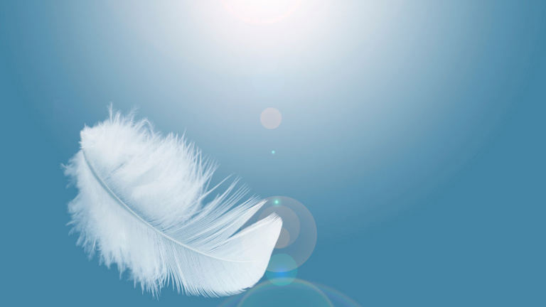 Qué significado tiene encontrar una pluma blanca?