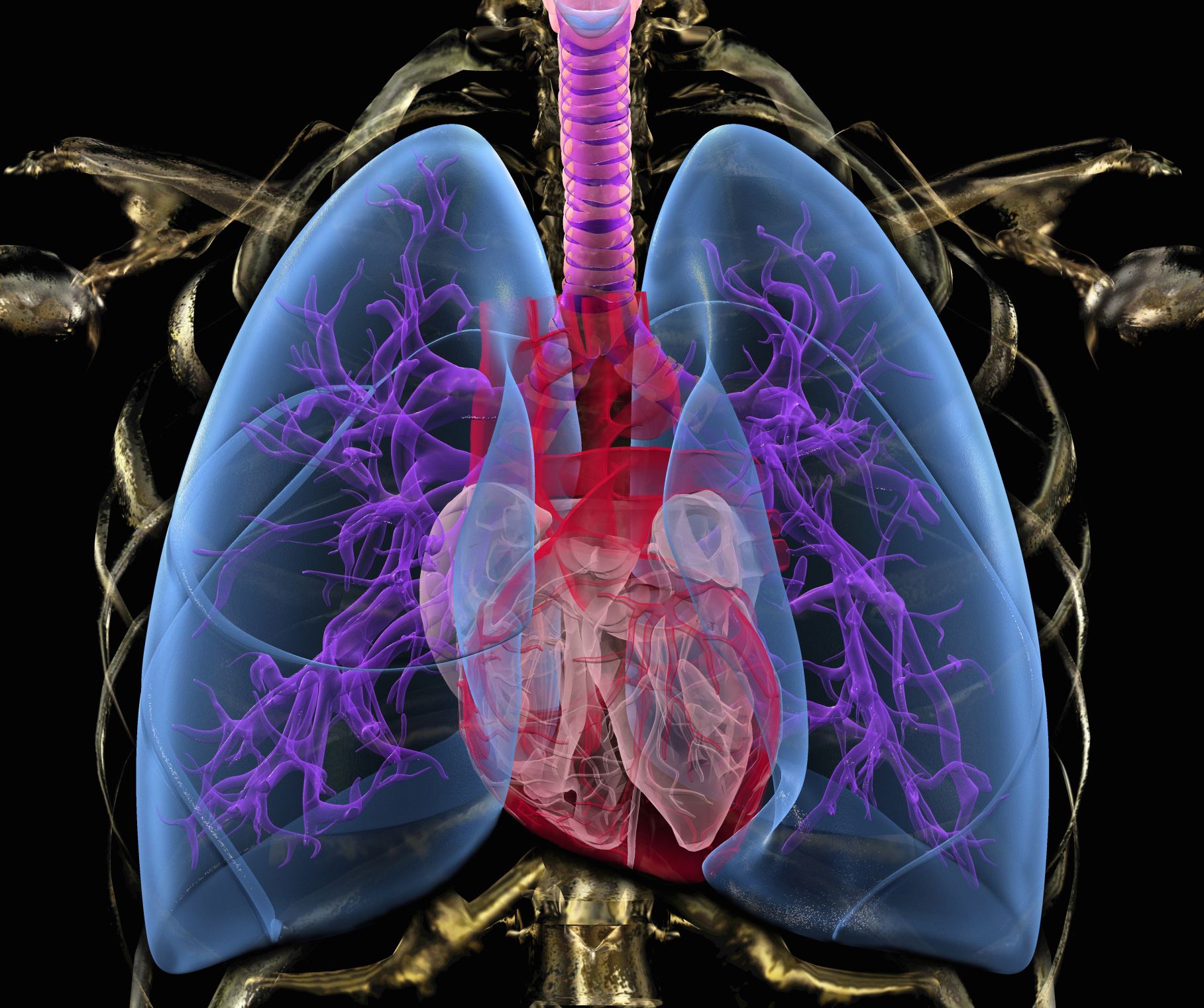 Diapositiva 2 de 10: new caption