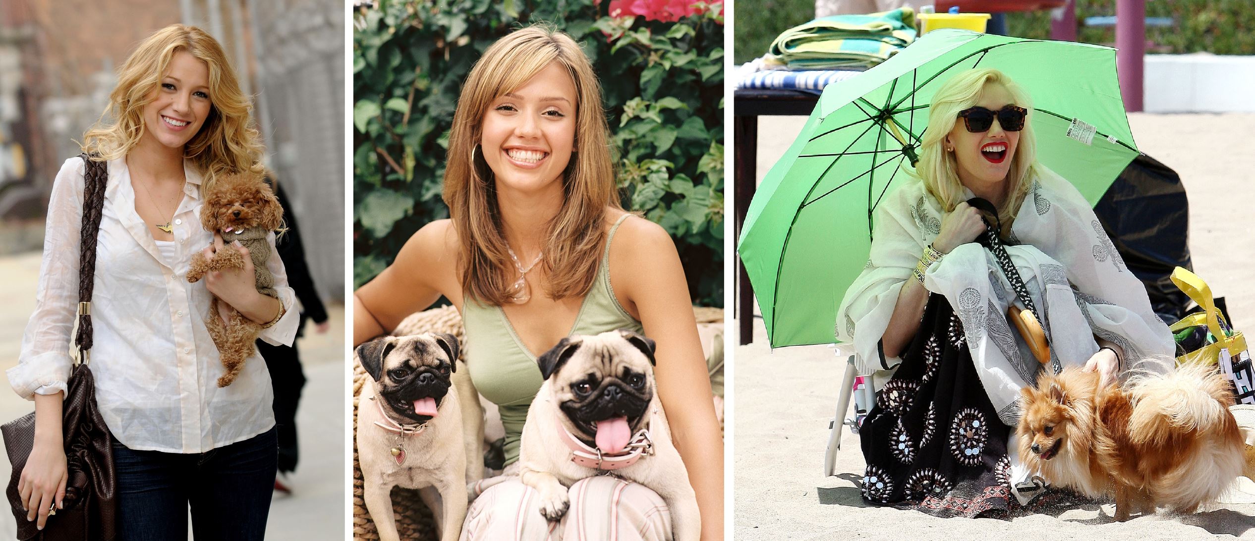 Celebrities With Big Dogs(02)