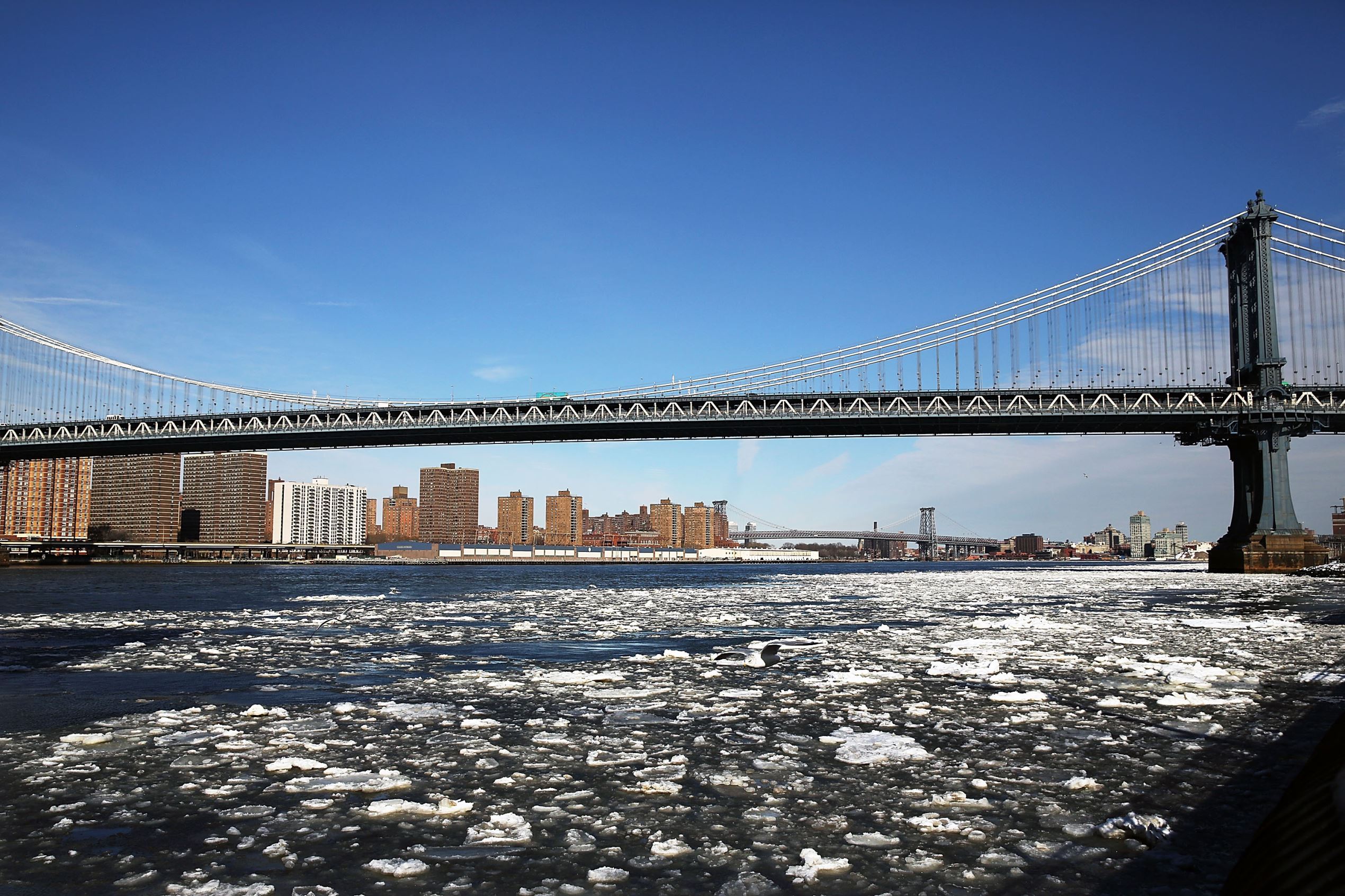 Diapositiva 2 de 20: Arctic