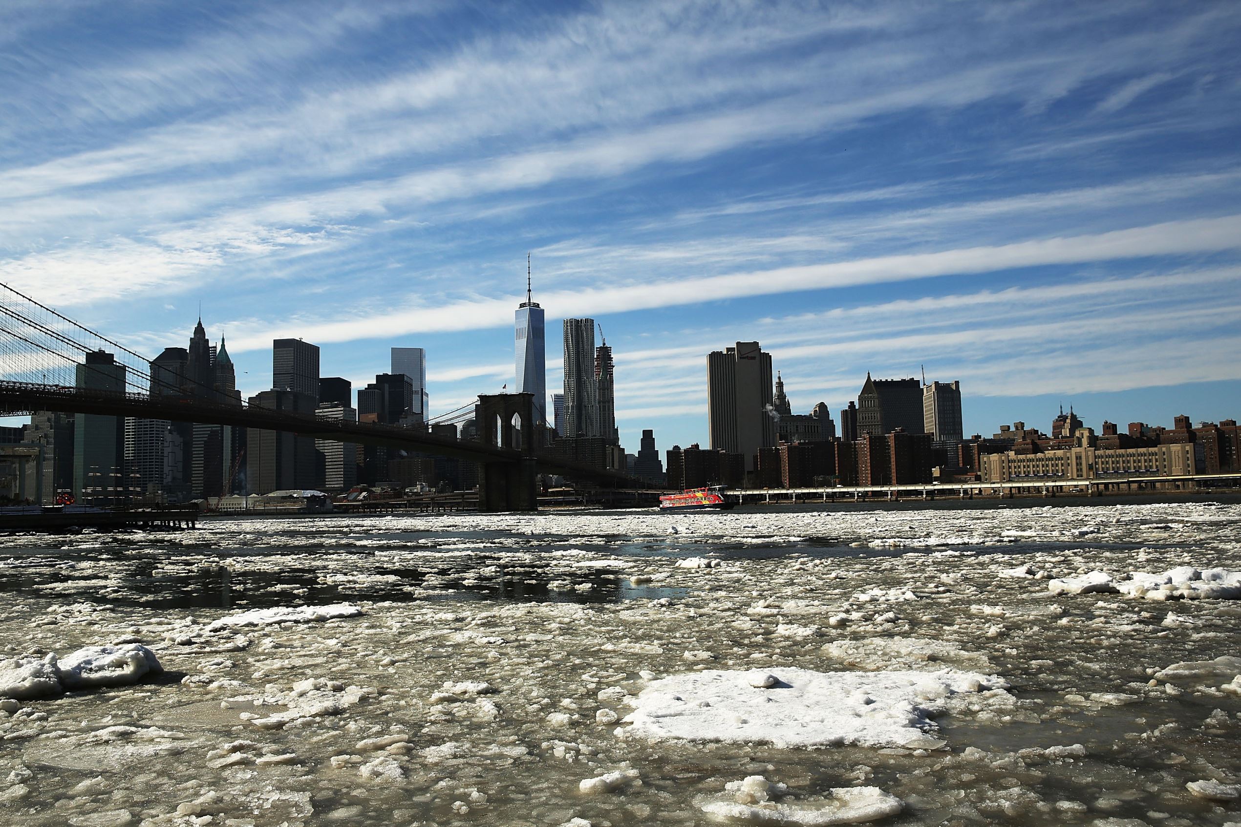 Diapositiva 6 de 20: Arctic