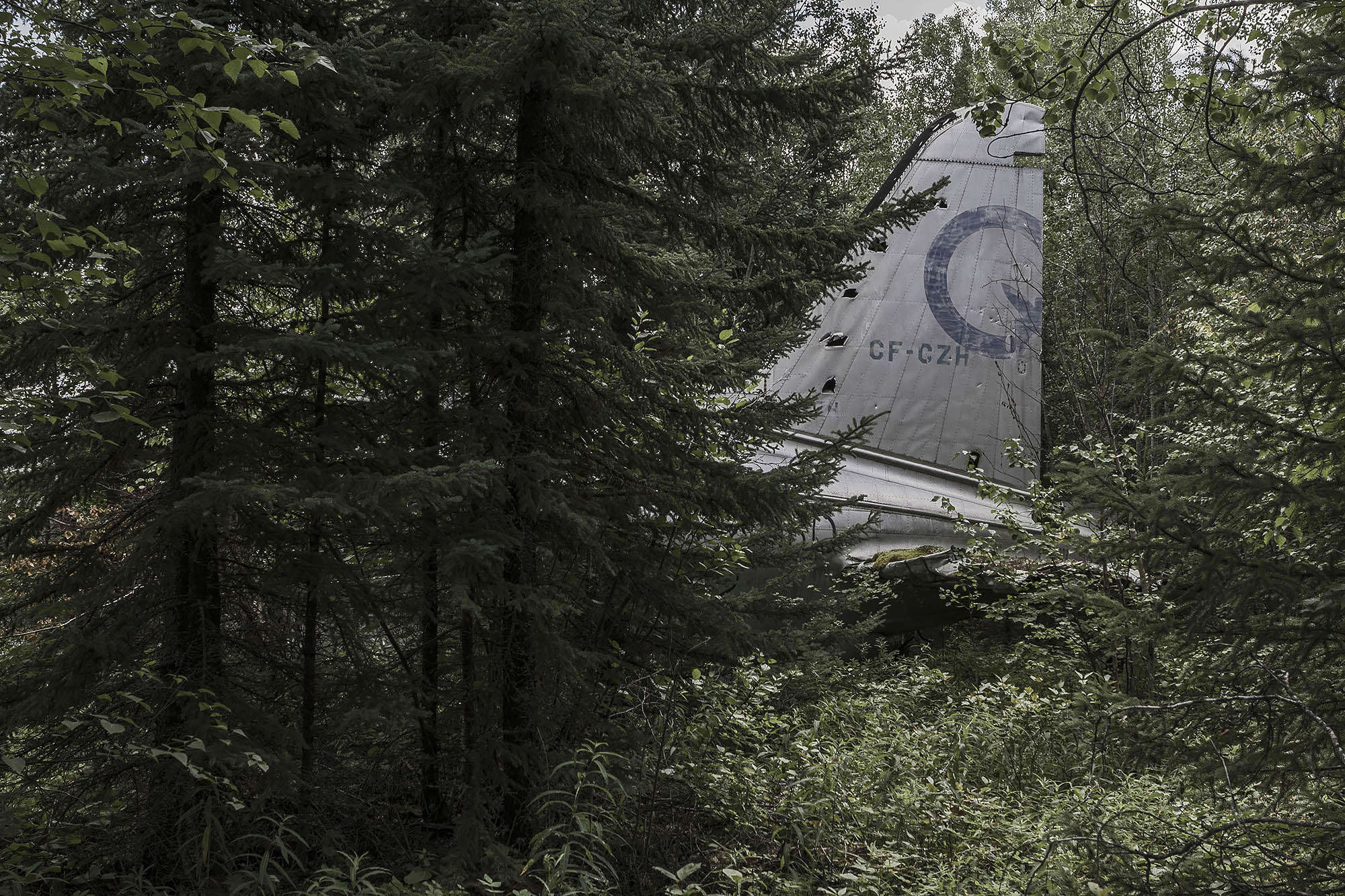 Slide 19 of 28: The wrecks may be gloomy to others but Eckell finds them beautiful. He feels that despite the tough weather conditions and natural wear and tear, the abandoned planes are still a solid piece of work.