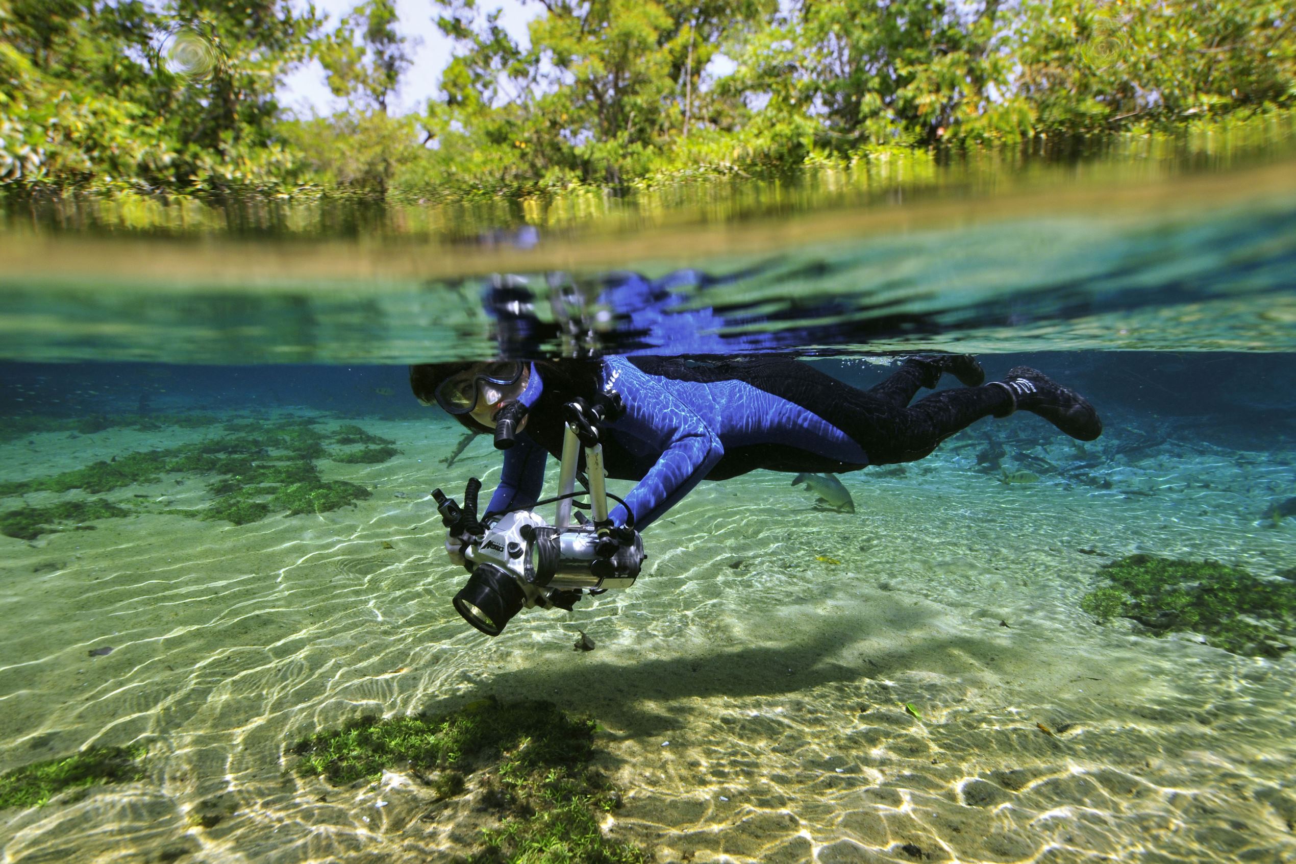 BBiNrLO.img?h=1080&w=1920&m=6&q=60&o=f&l