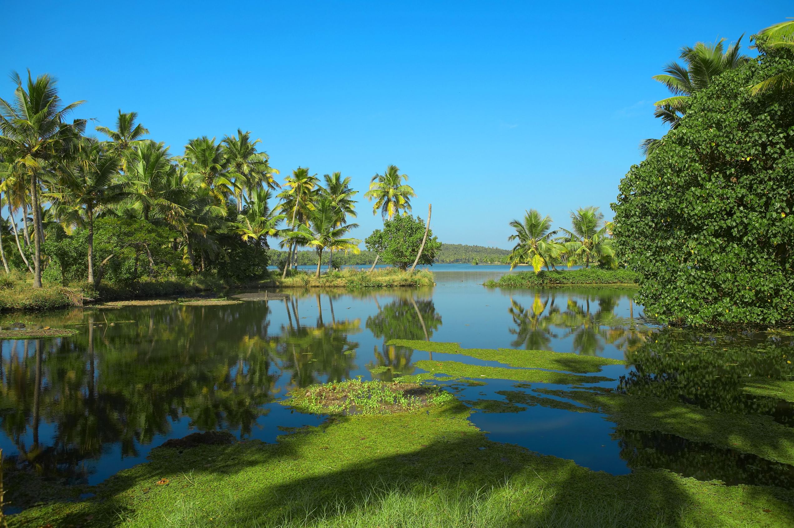 Slide 2 of 99: Backwaters in Kerala, India