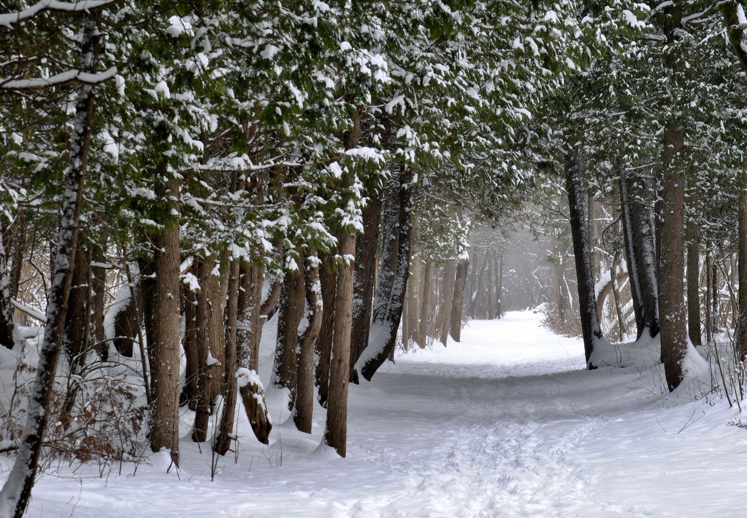 Cae Nieve En Las Vegas Por Primera Vez En Una Decada