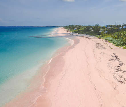 Pink Sand Beach