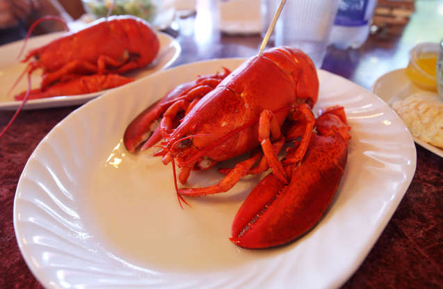 ÎÎ¹Î±ÏÎ¬Î½ÎµÎ¹Î± 15 Î±ÏÏ 32: Lobster