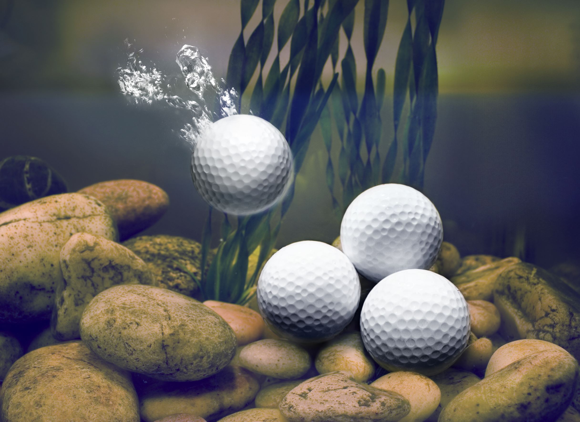 知られざる世界の奇妙すぎる職業選