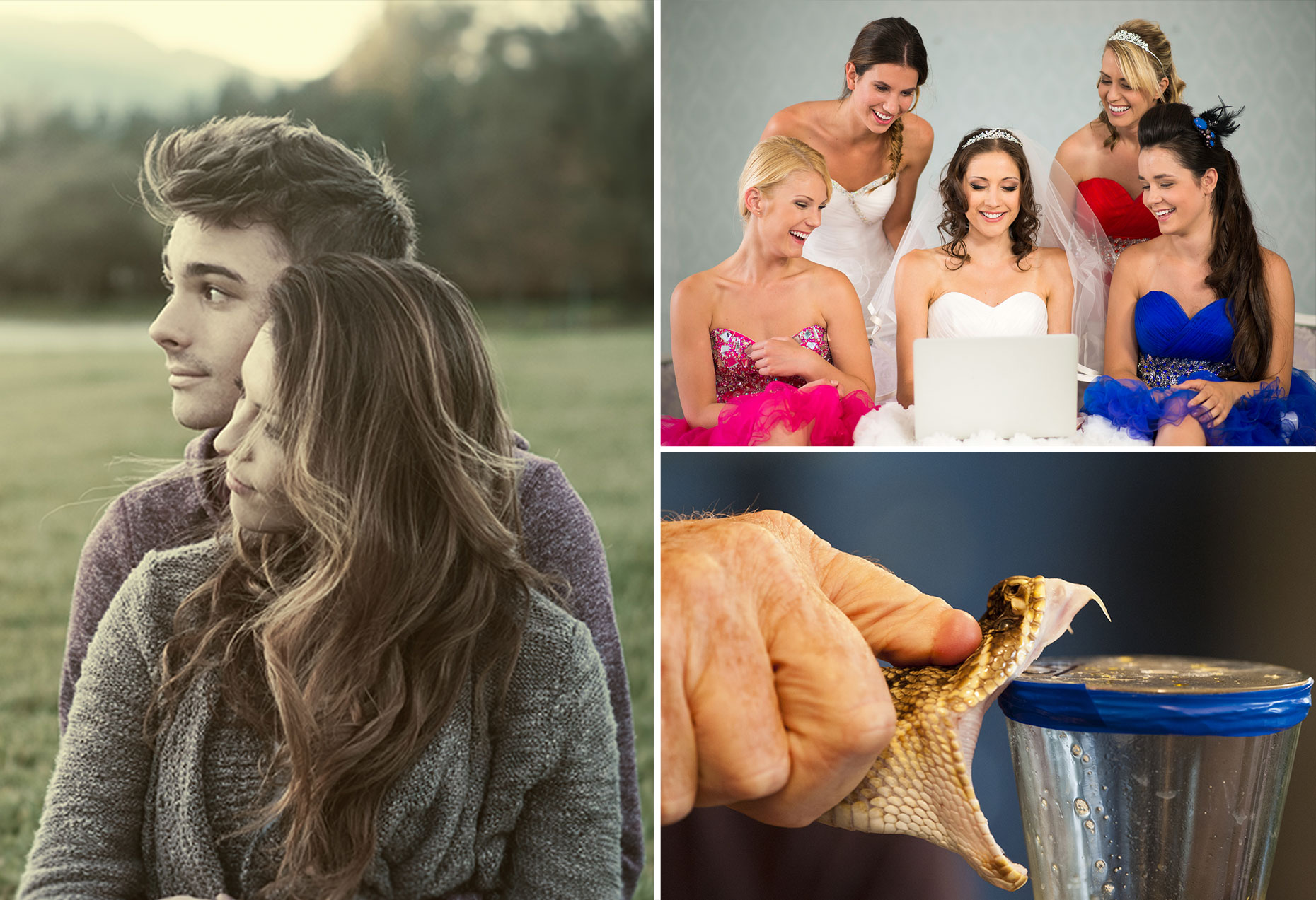 知られざる世界の奇妙すぎる職業選