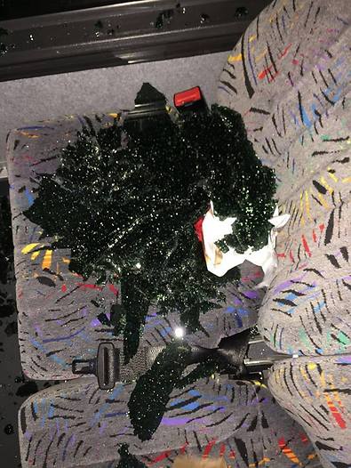 האוטובוס המנופץ