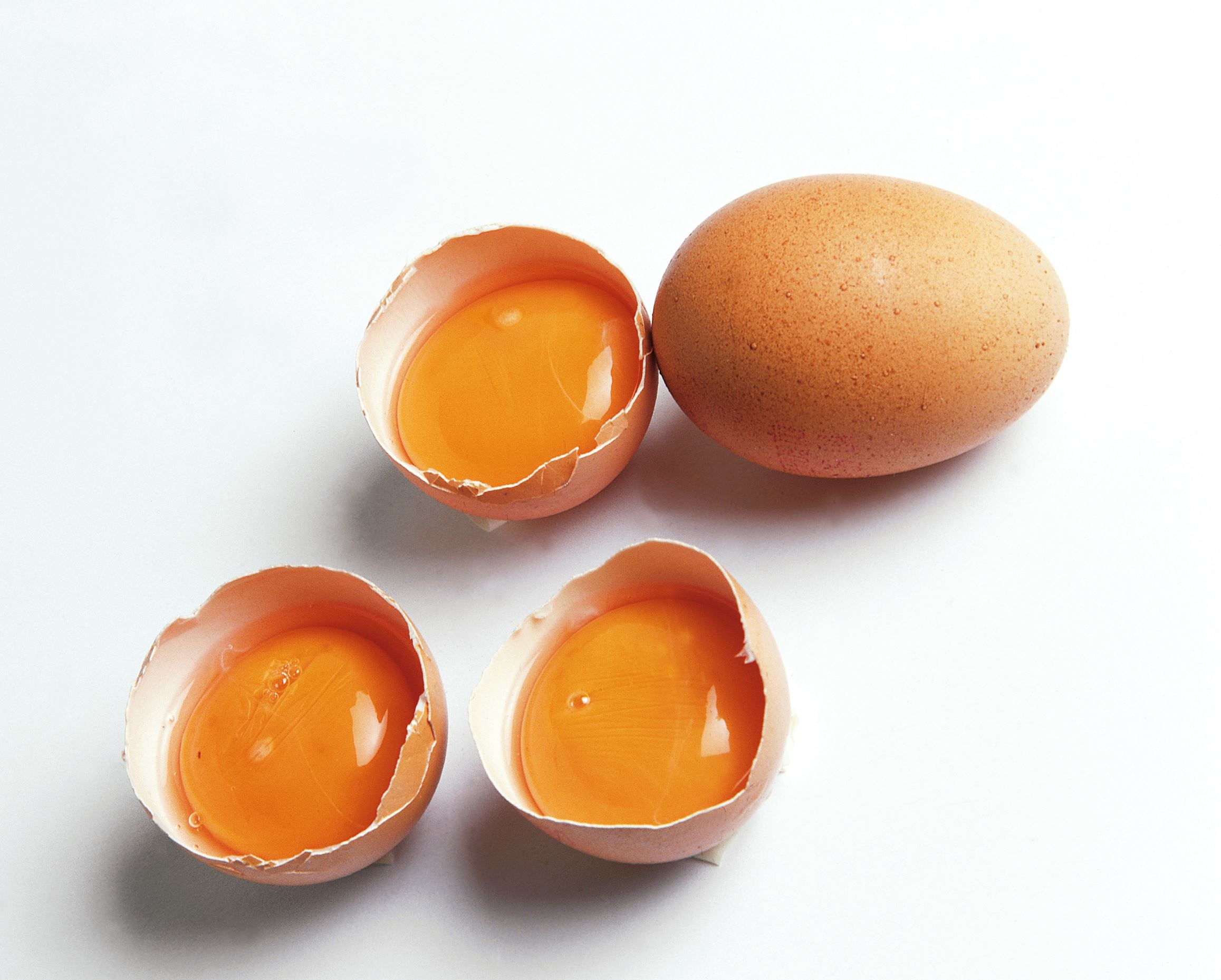 Плотное яичко. Яичный желток. Цвет желтка яиц. Тухлое яйцо. Яичный желток в сыром виде.
