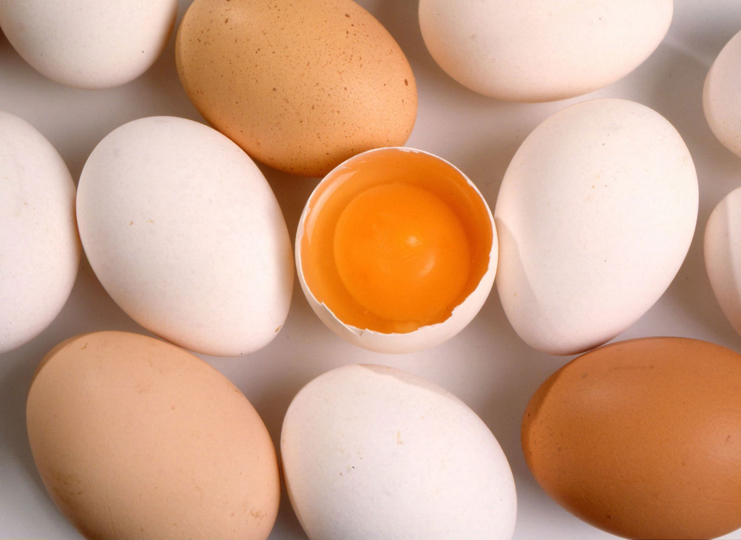 Почему мутные белки яиц. Яйцо куриное. Яйцо домашнее куриное. Яйца фото. Курица с яйцами.