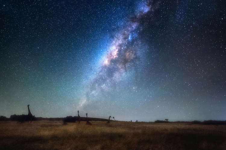 Asombrosas imágenes de la Vía Láctea