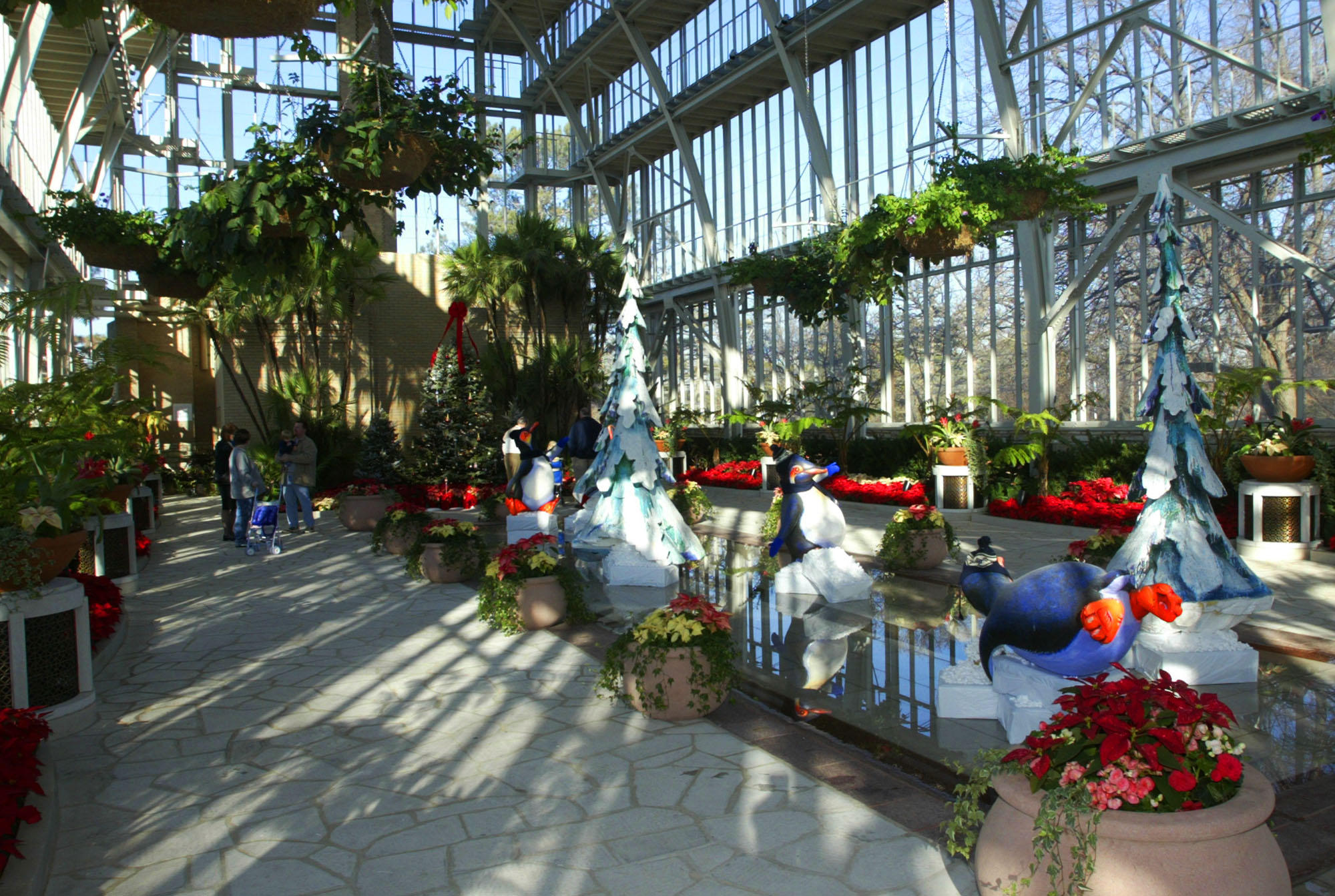 Olympic Cities In The Americas Best Things To Do In Winter And Summer