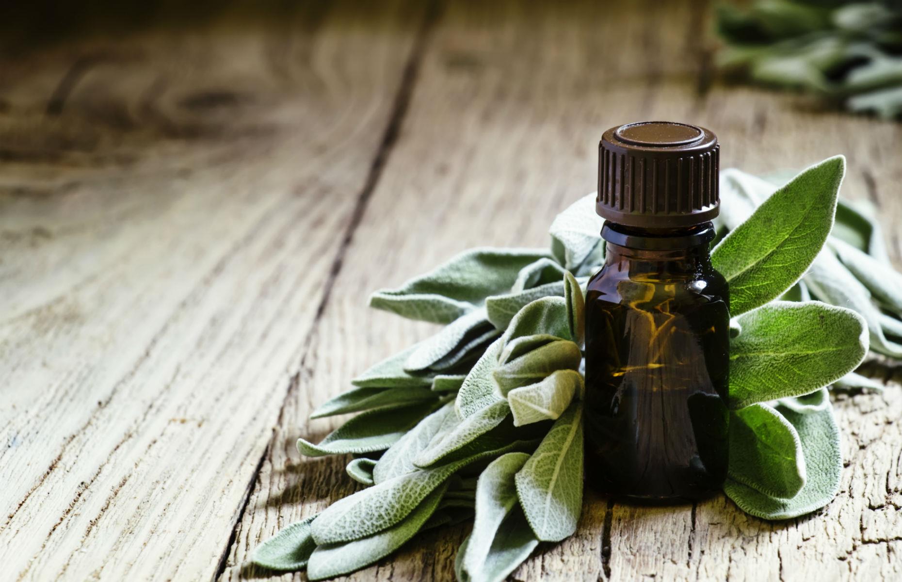 Slide 13 of 26: Way back in the 16th century, this herb was prescribed as a way to boost memory and cognitive function. While it helps to add the herb to your roasts, it’s more beneficial to take sage oil, which contains an enzyme called acetylcholinesterase that sparks neurotransmitters in the brain.