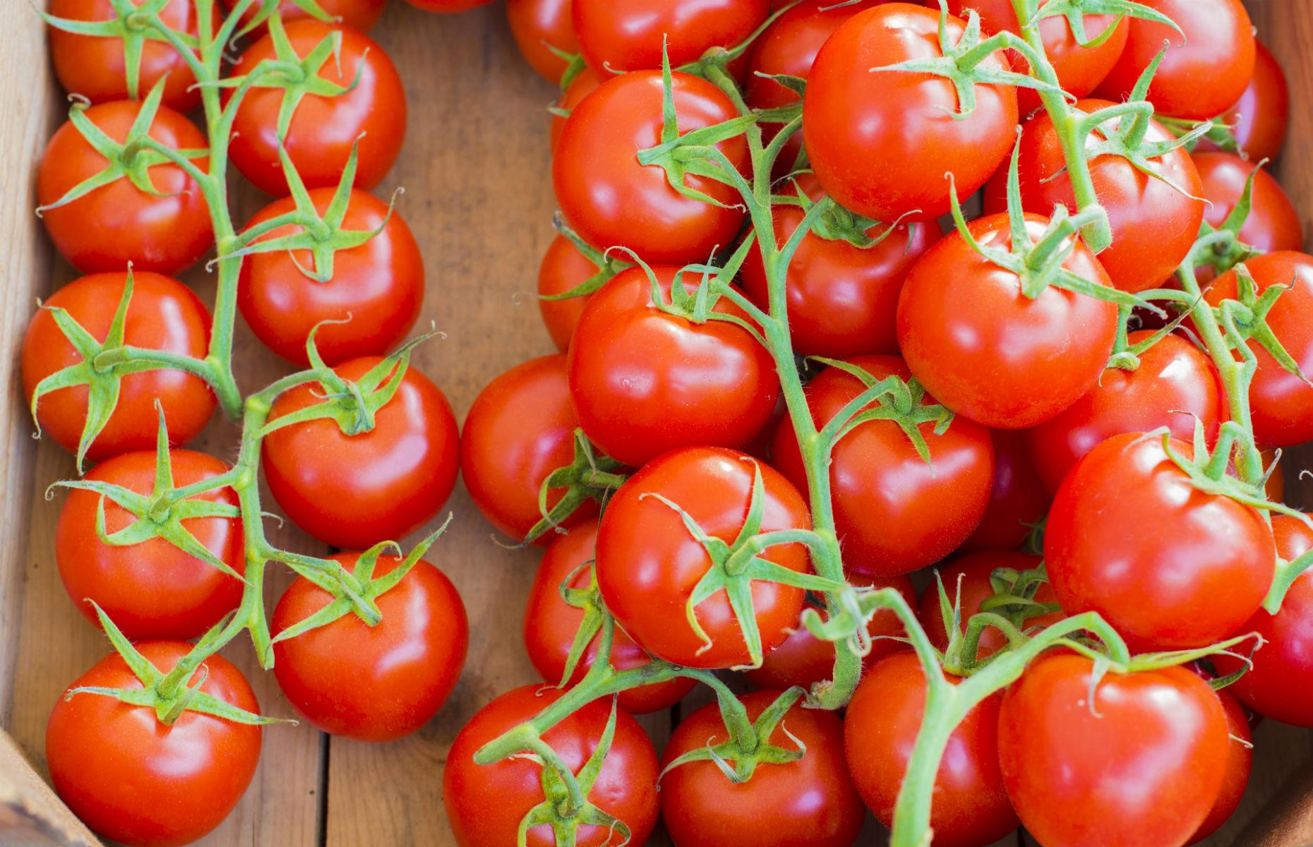 Slide 14 of 26: Several studies have found evidence that lycopene, a powerful antioxidant found in tomatoes, could help protect against the kind of free radical damage to cells that occurs in the development of dementia. Add them to your salads today.