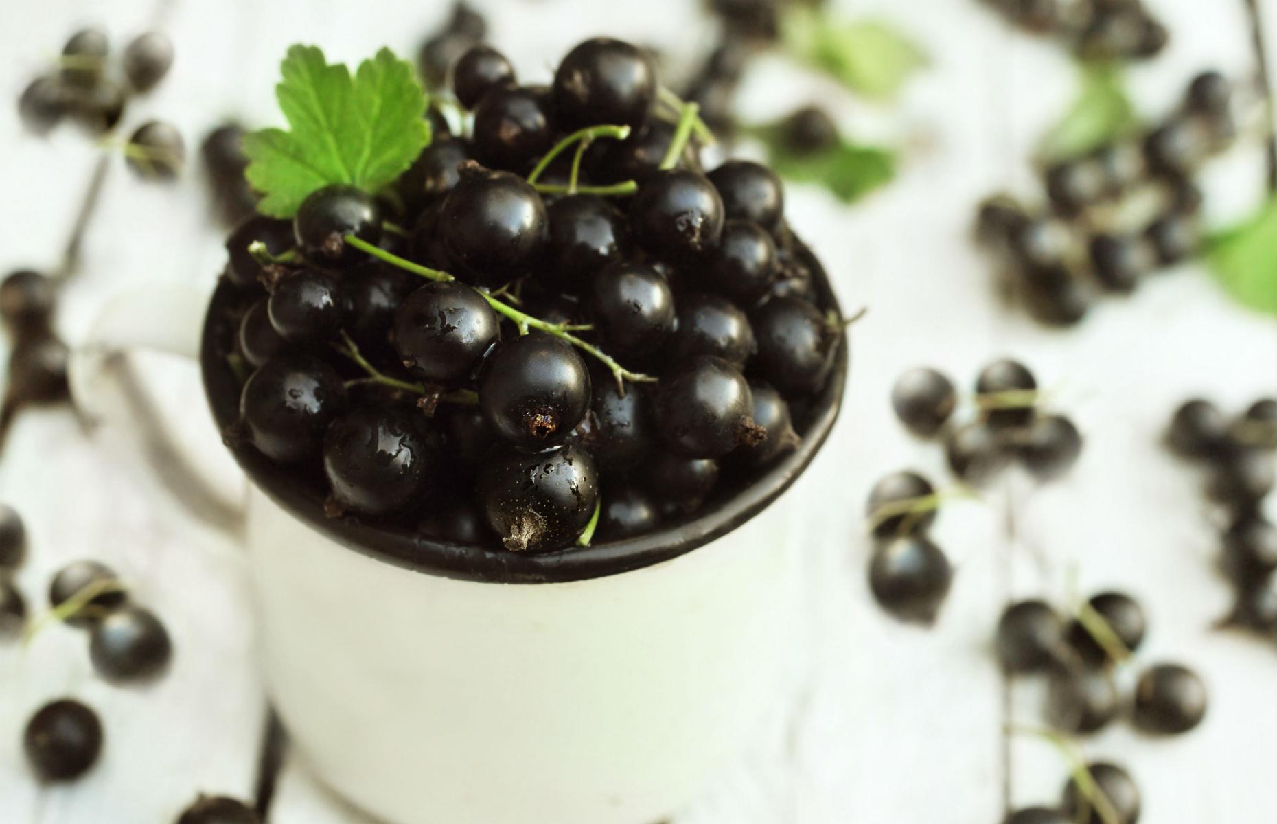 Slide 2 of 26: They might be small but blackcurrants are packed full of Vitamin C, which is thought to have the power to increase mental agility and protect against age-related brain degeneration including dementia and Alzheimer’s.