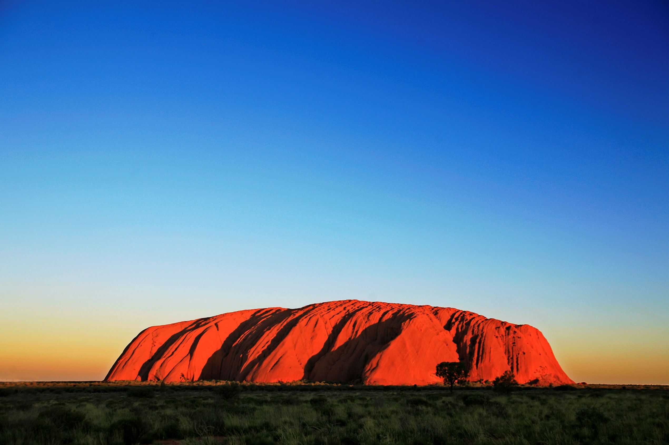 ���� ���� ������ �� ���� ������