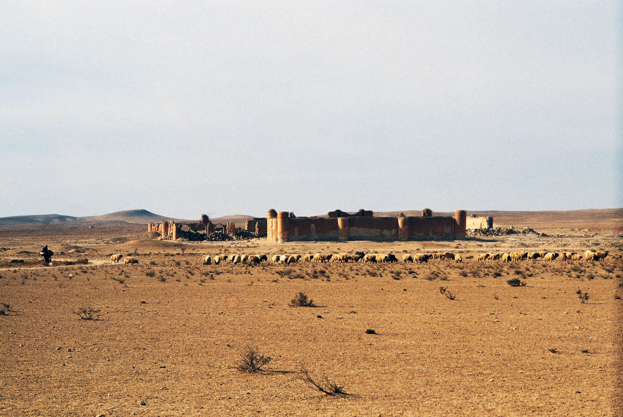 ���� ���� ������ �� ���� ������